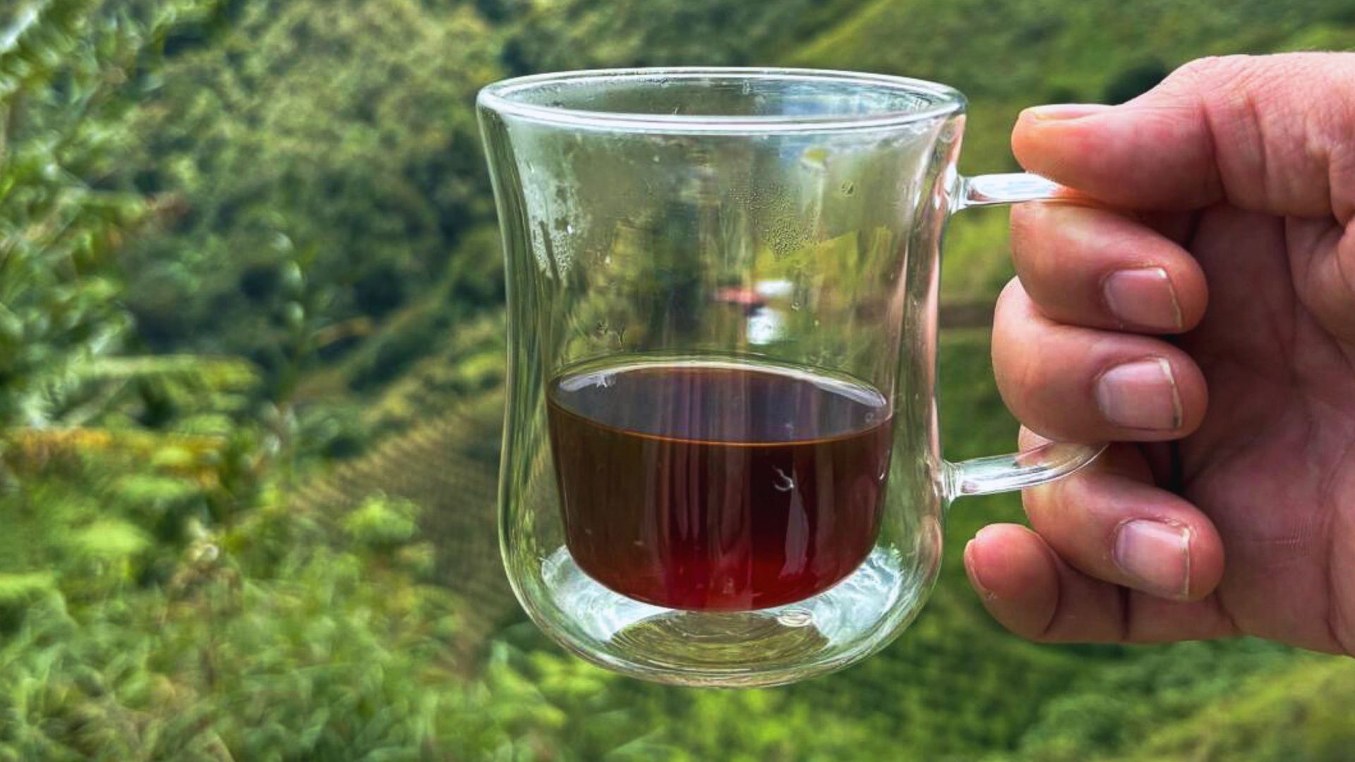 Cup of Kaap Koffie overlooking the Colombian coffee mountains
